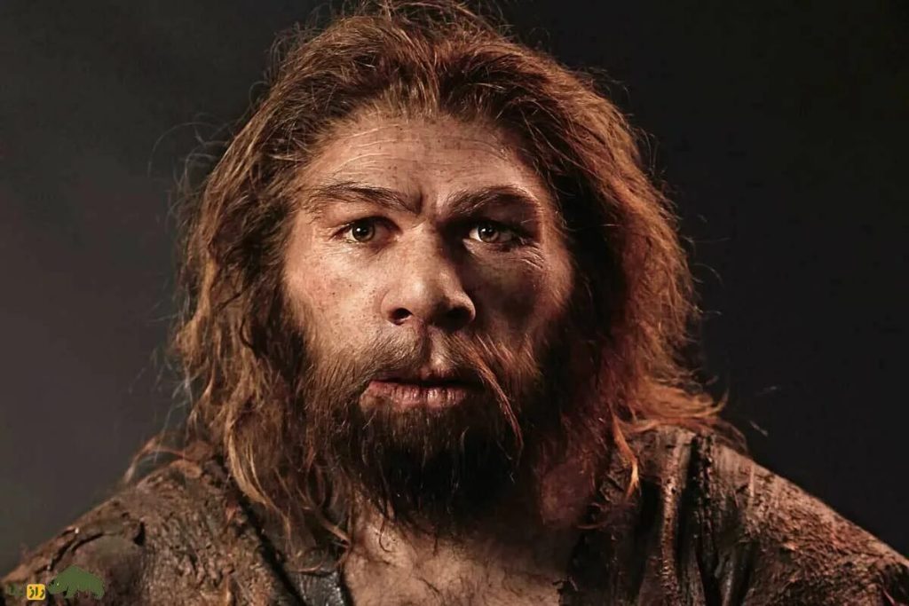 Jedna z teórií hovorí, že niečo z vesmíru viedlo k vyhynutiu neandertálcov