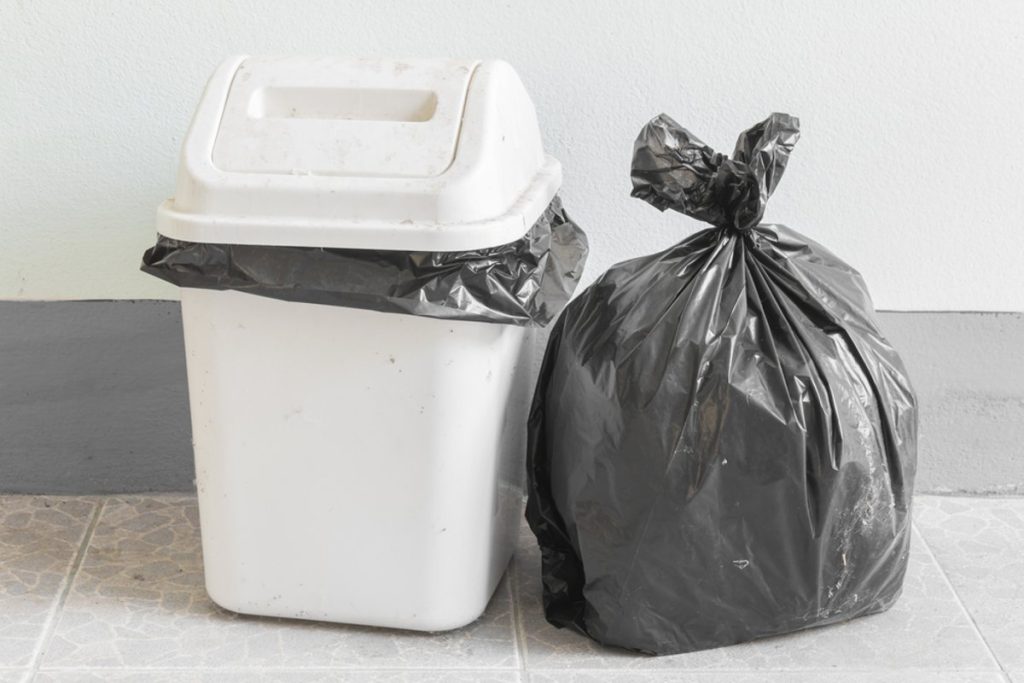 Už žiadne muchy: dve koreniny, ktoré treba dať do koša, aby bolo leto pokojné