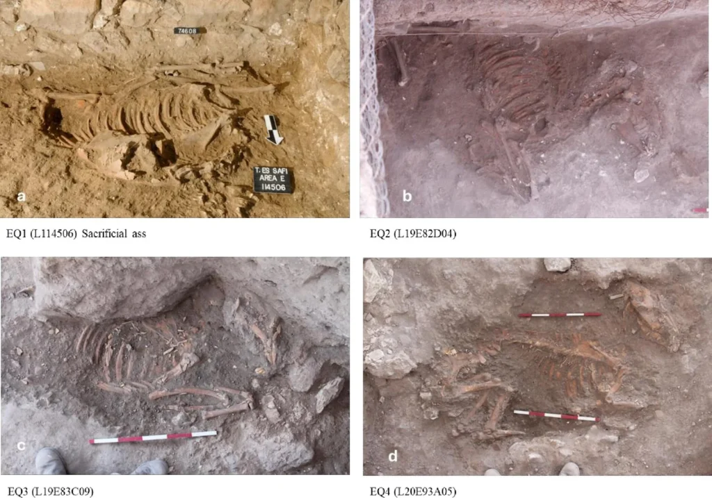 Archeológovia objavili pozostatky podivného rituálu. Pochádzajú z doby bronzovej