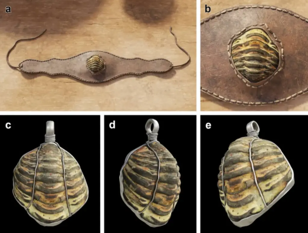 Archeológovia objavili 450 miliónov rokov starý trilobit, ktorý sa používal ako amulet v Rímskej ríši: našli ho na skládke odpadu v luxusnom dome v Galízii