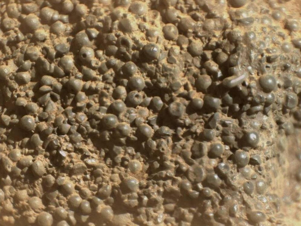 NASA objavila na Marse kameň pokrytý „pavúčimi vajcami“ a nevie, ako sa tam dostal