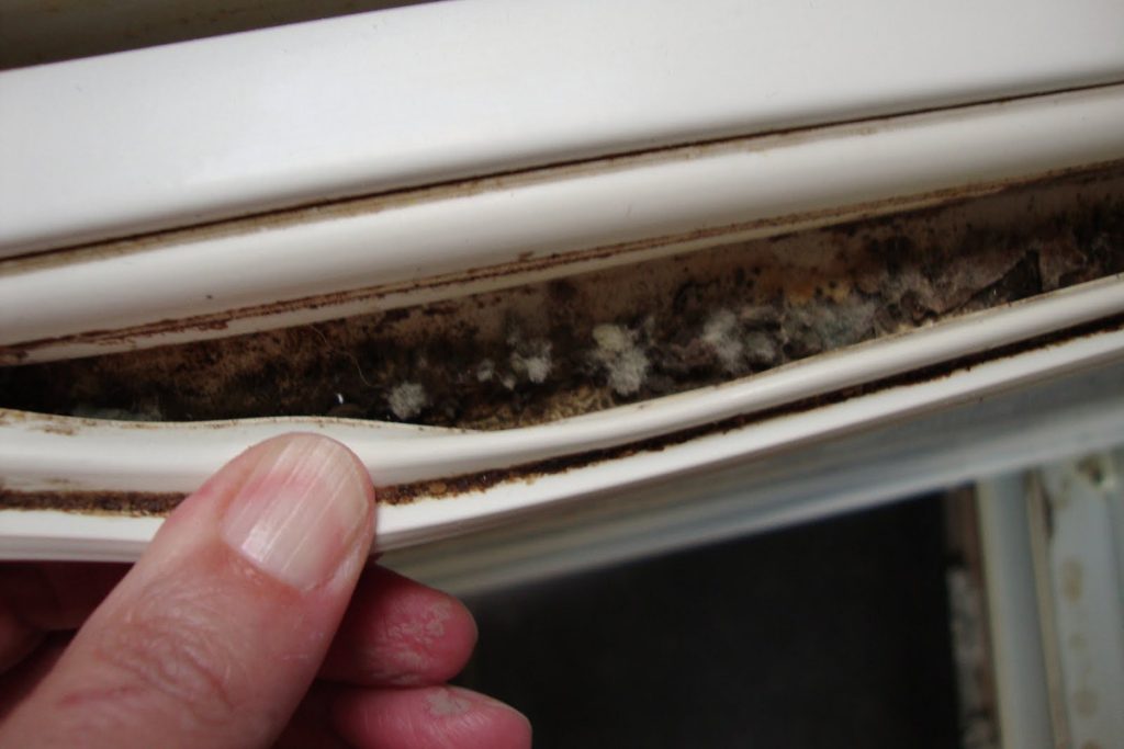 Je sodný bikarbonát v chladničke skutočne účinný proti plesni? Odpovedáme raz a navždy