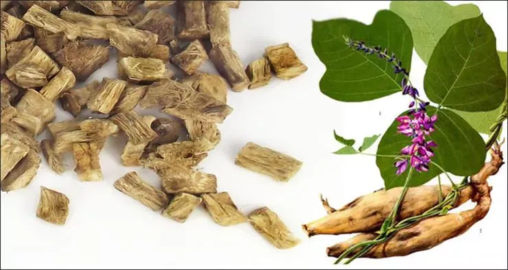 Japonský superprodukt na spaľovanie tukov, ideálny na zníženie nafúknutého brucha, najmä v lete