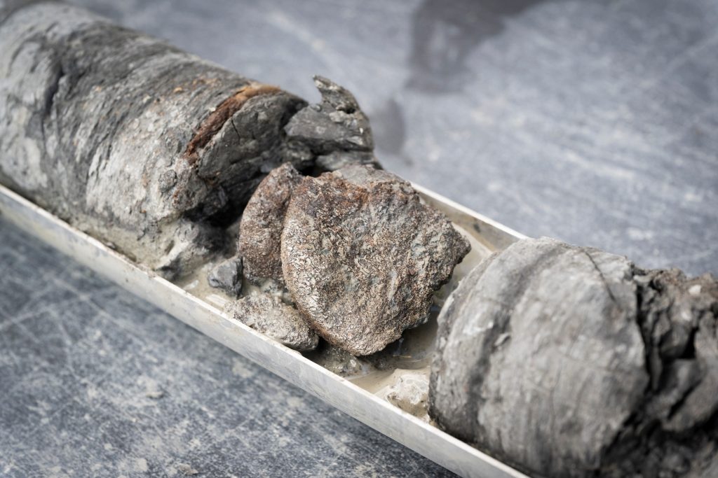 Skamenelina starou takmer 70 miliónov rokov bola nájdená pod parkoviskom múzea v Denveri