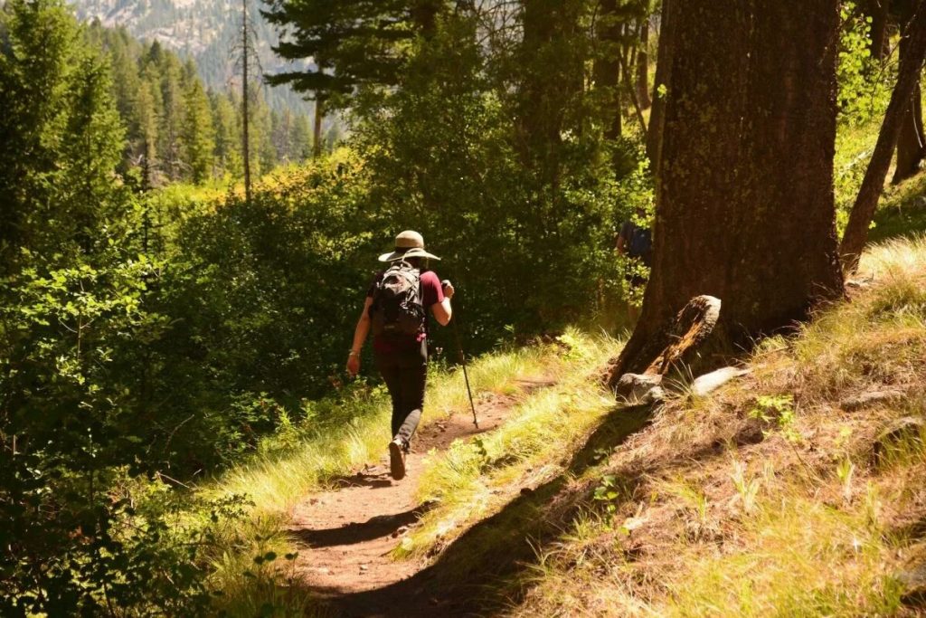 Muž nájde v lese turistu, ktorý zmizol pred piatimi dňami: bol hladný a zranený