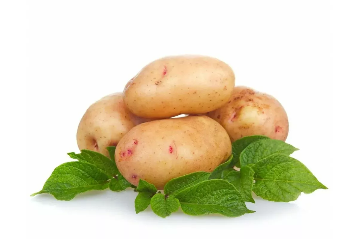 Jedna ingrediencia robí zemiakový šalát ešte lepší