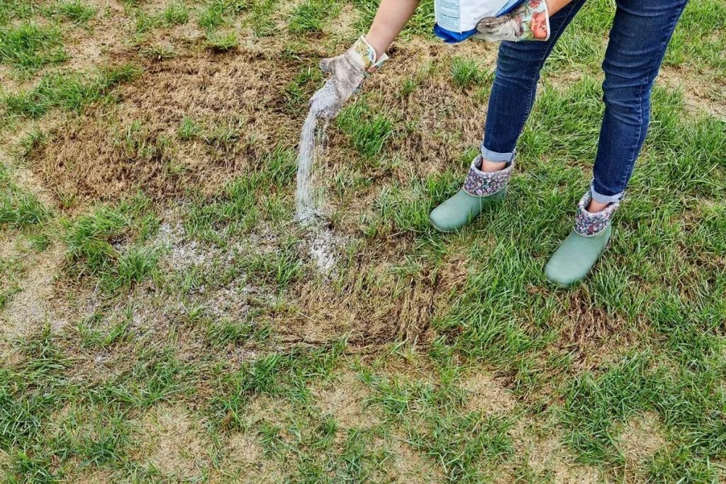Žltý trávnik? Prečo každodenné polievanie nepomáha – ako postupujú profesionáli