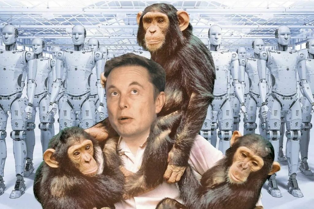 Skrytá stránka Neuralinku: spoločnosť Elona Muska, ktorá sa zaoberá výrobou mozgových implantátov, zabila niekoľko opíc, na ktorých experimentovala s cieľom vytvoriť svoje prvé modely