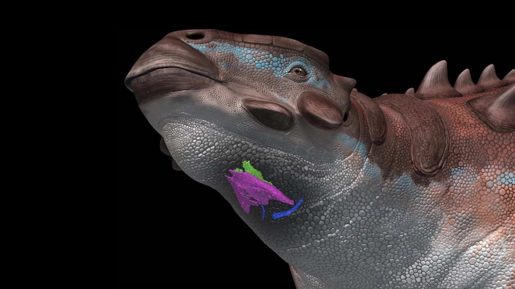 Dinosaury nerušili, ale spievali: objavili prvú skamenelinu hrtana, ktorá svedčí o vokálizácii podobnej vtáčej