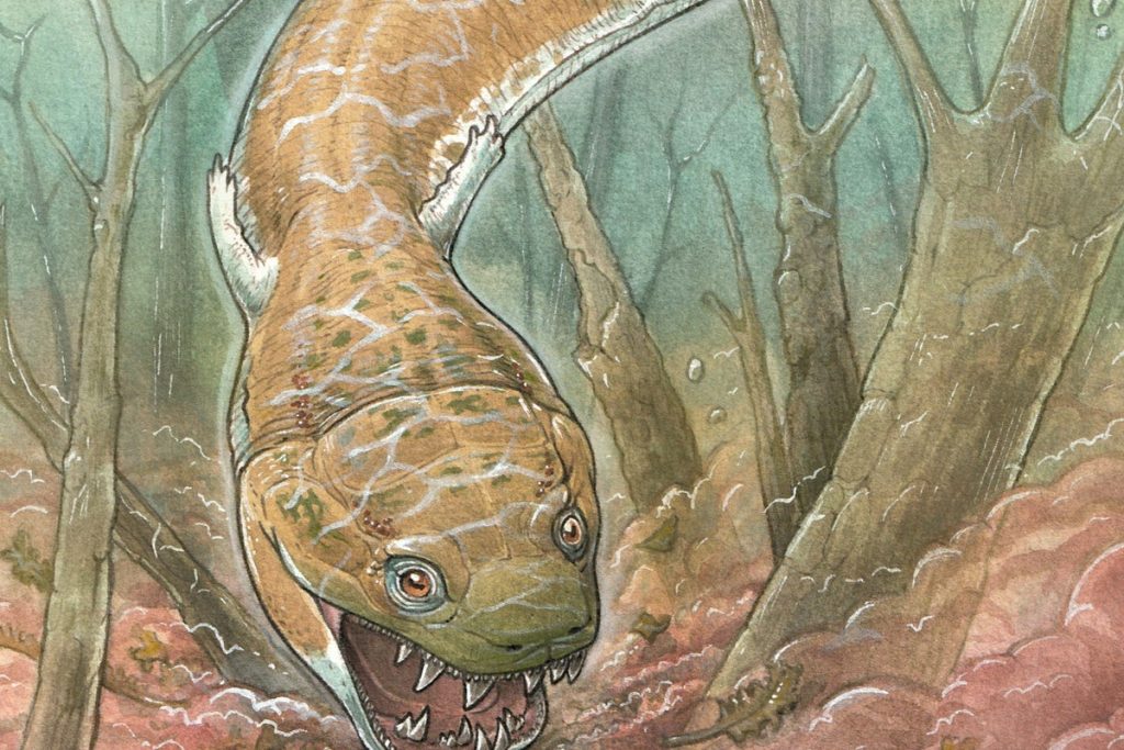S plochou hlavou a obrovskými zubami: objavili sme obrovského dravca, staršieho ako dinosaury