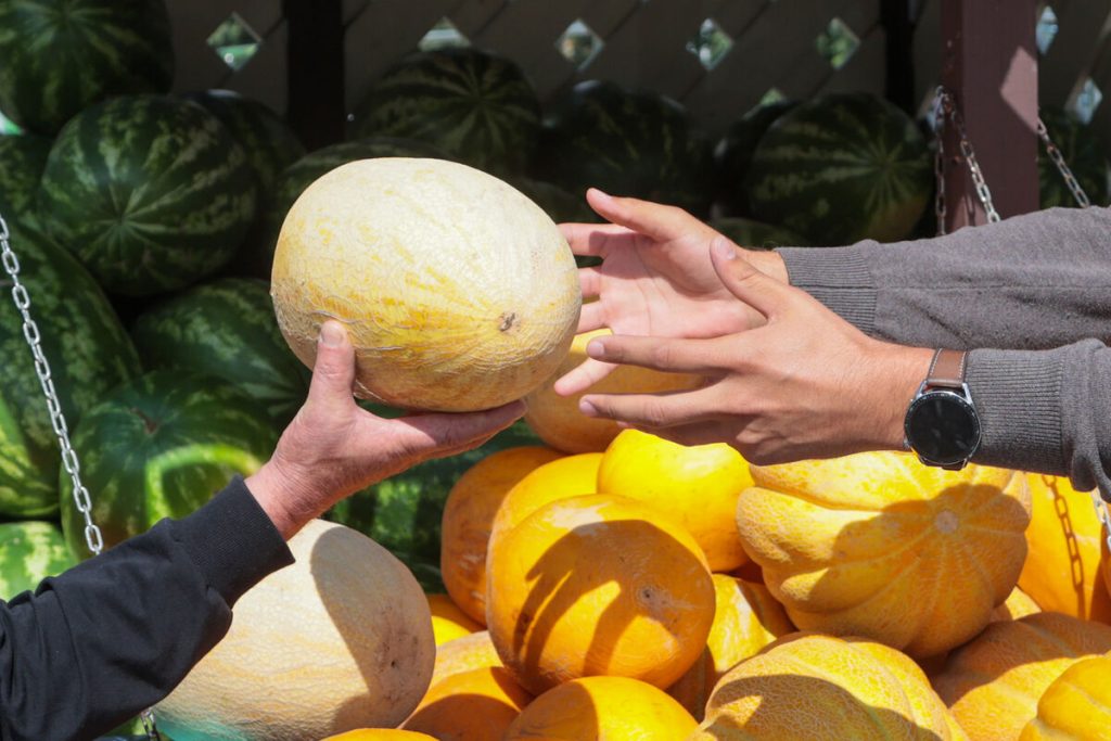 Ako zistiť, či je melón sladký? Existuje jednoduchý a účinný trik