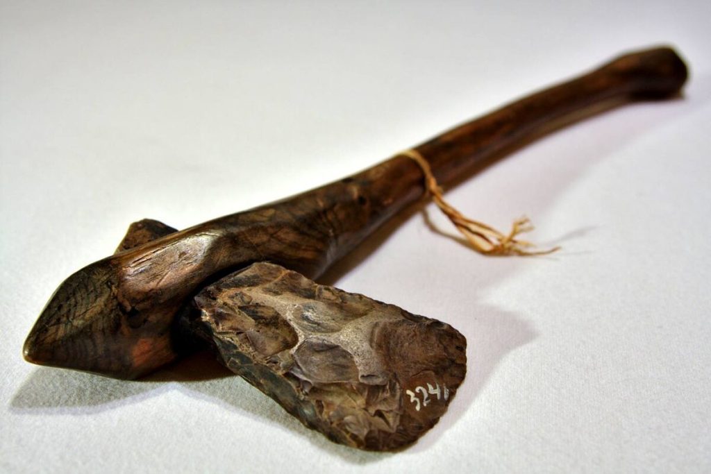 Dieťa nájde na pláži „krásny kameň“ a zistí, že ide o vzácny nástroj neandertálcov, ktorý je starý viac ako 60 tisíc rokov