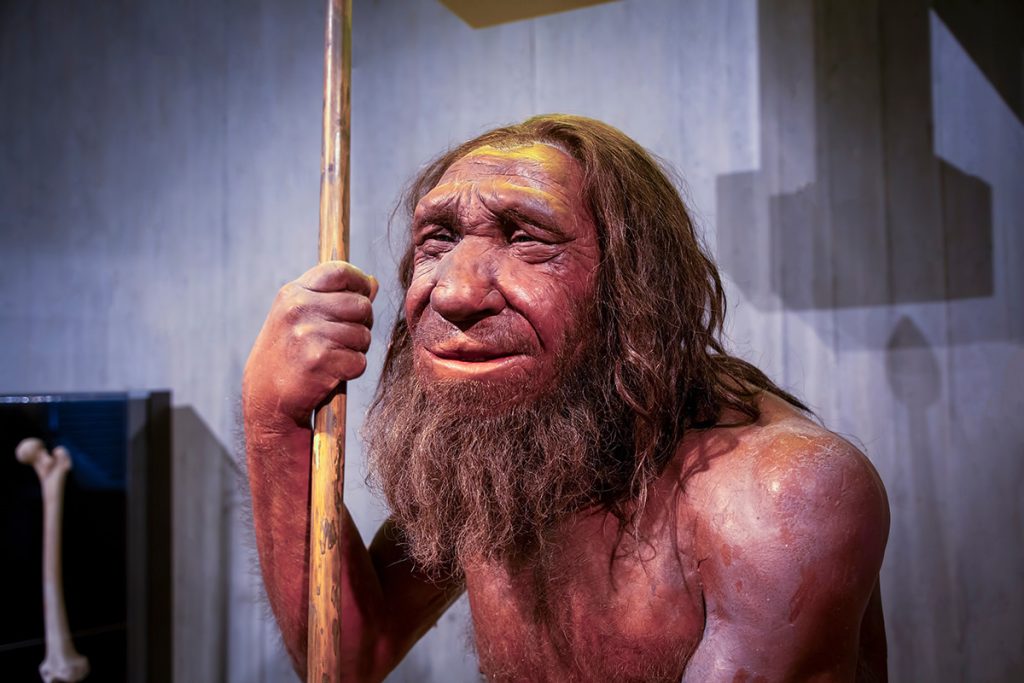 40 000 rokov stará DNA neandertálca bola vložená do myší: prekvapivé výsledky
