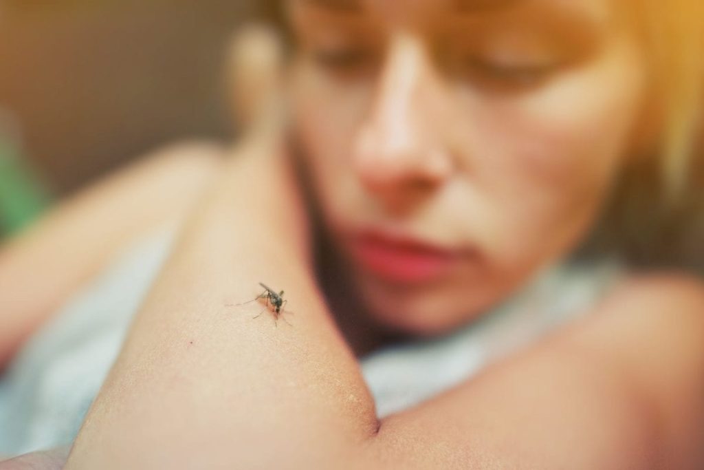 Zbohom, komáre v izbe: pohár, ktorý treba postaviť vedľa okna, aby nelietali