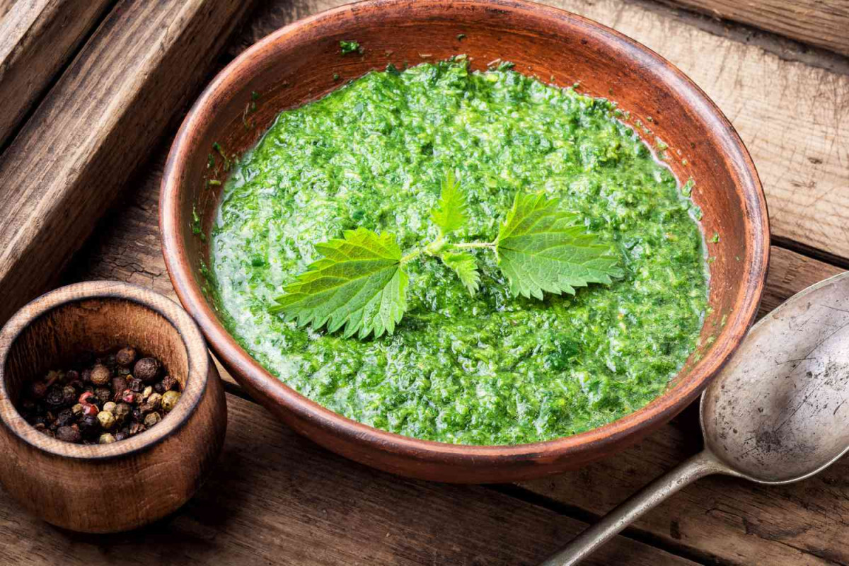Hnojivo z žihľavy, ideálne na starostlivosť o rastliny v záhrade: tu je recept