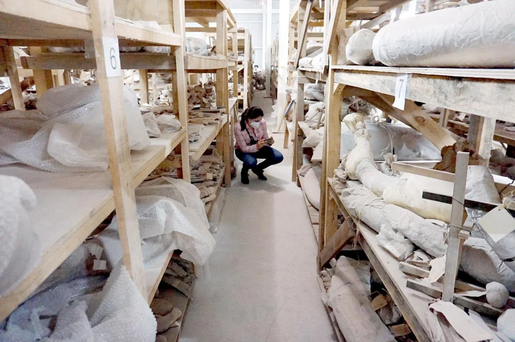 Kosti pod pristávacou dráhou: ako vojenský megaprojekt viedol k najväčšiemu paleontologickému objavu v MexikuAutor známeho mexického časopisu Rodrigo Perez Ortega rozprával o histórii najväčšieho objavu skamenelín v Mexiku
