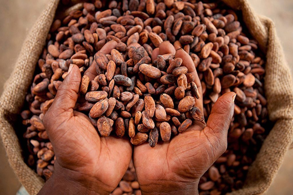 Africké kartely dostali nový tovar. Po raste cien začala pašovanie