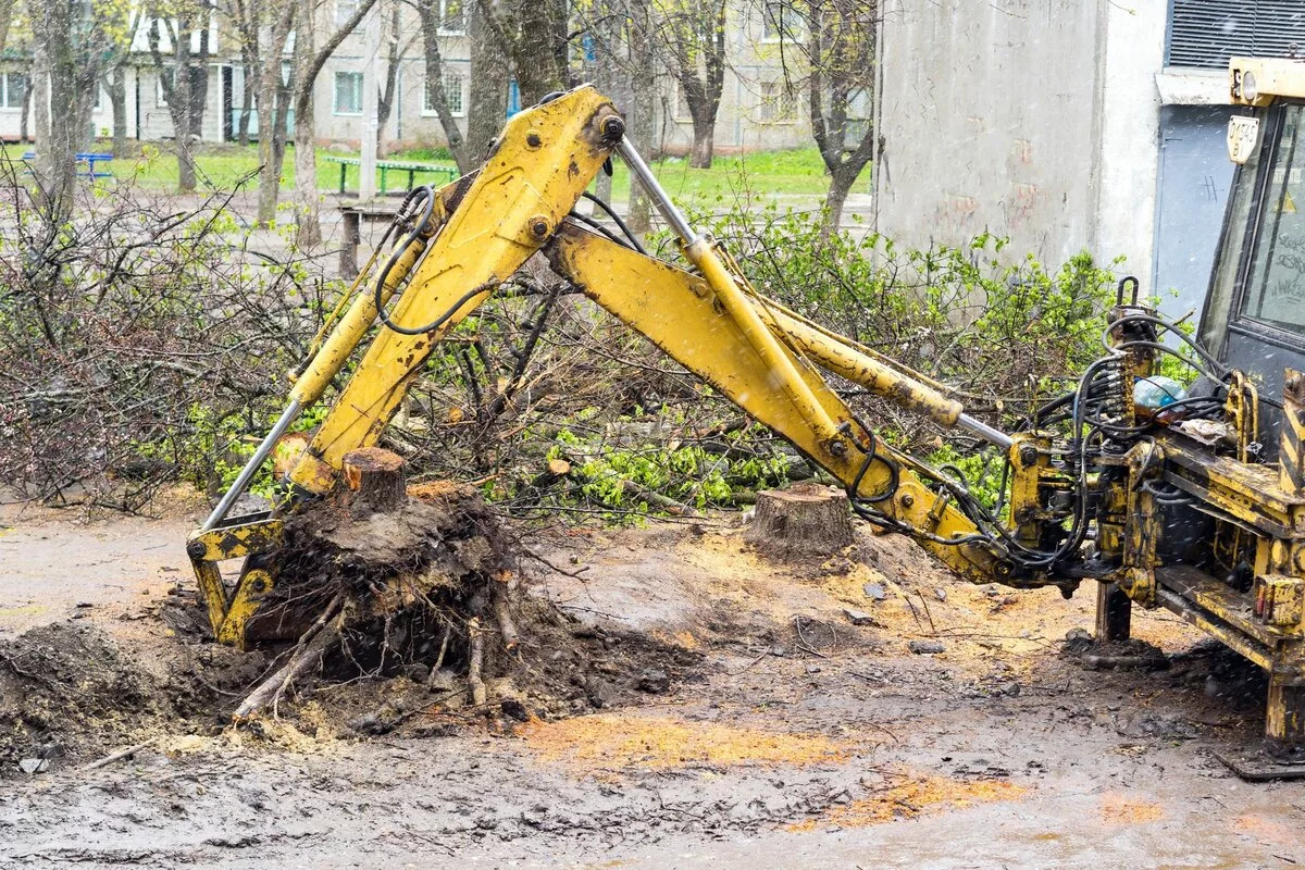 Bez námahy, nákladov alebo použitia bagra môžete ľahko odstrániť pň zo svojej záhrady.