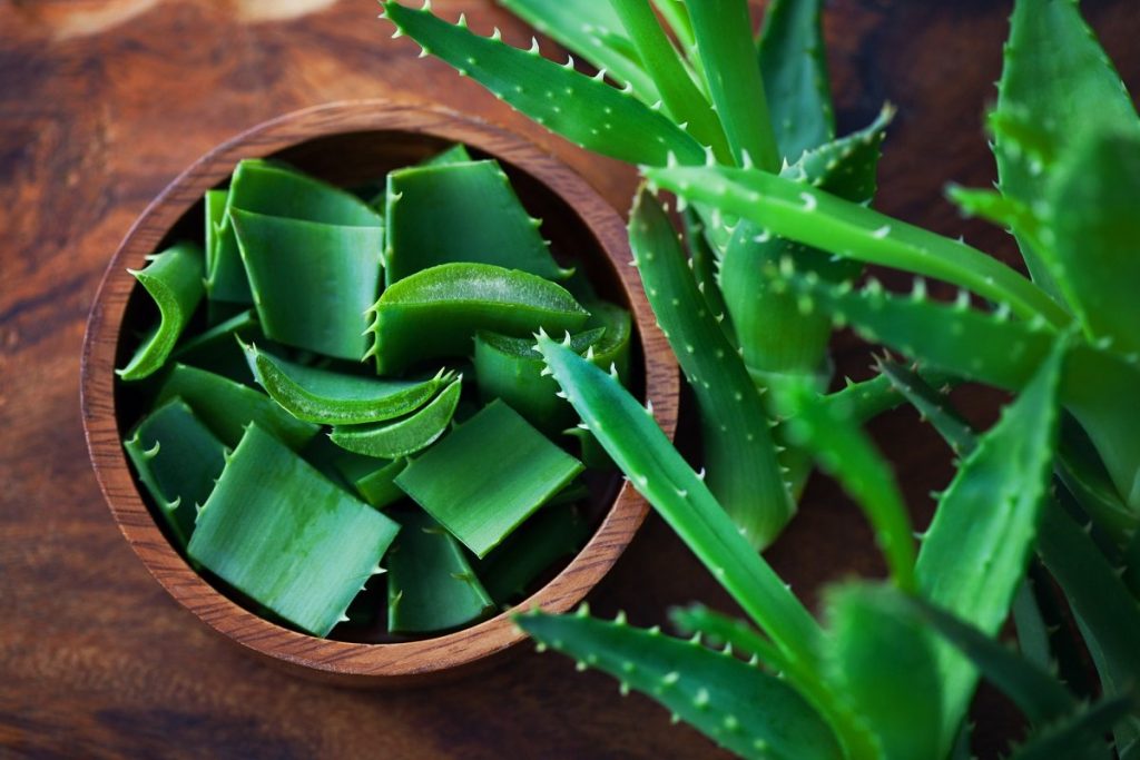 Aké sú výhody konzumácie aloe vera s citrónom ráno?