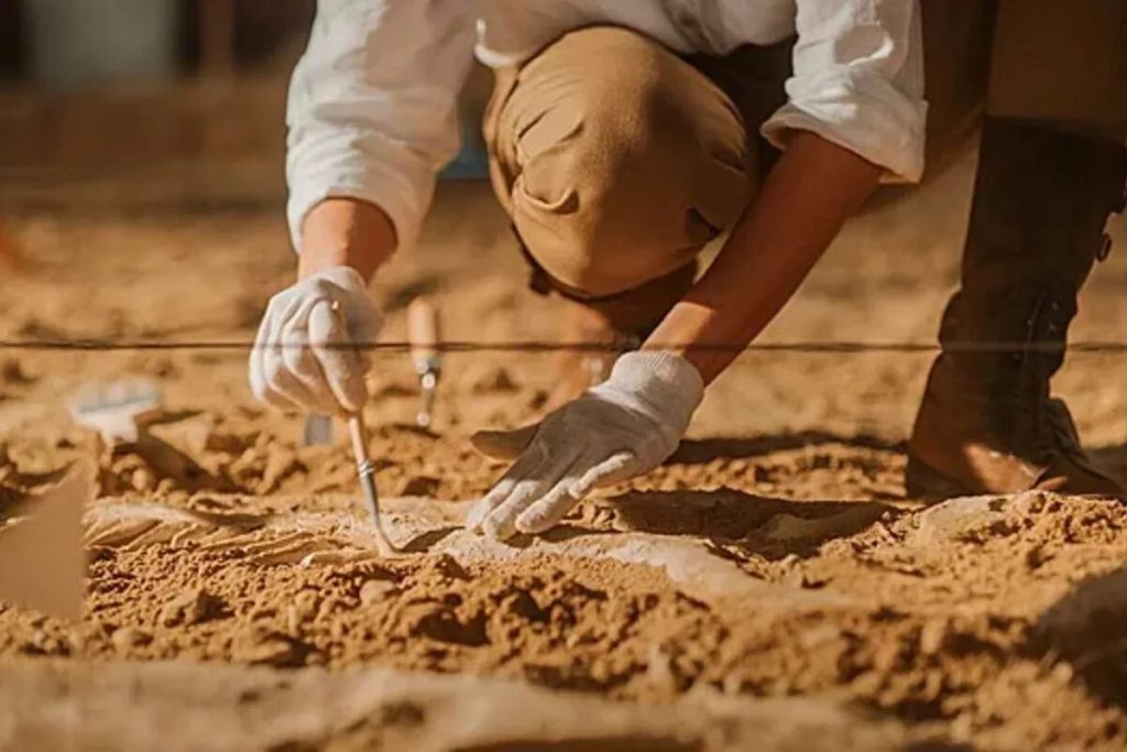 Jeho hrob bol objavený v Poľsku. Archeológovia: bol ubité na smrť