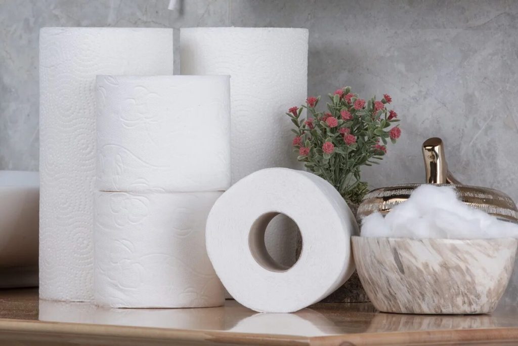 Zbohom, komáre vo vašej izbe: použite toaletný papier, aby vás toto leto neštípali