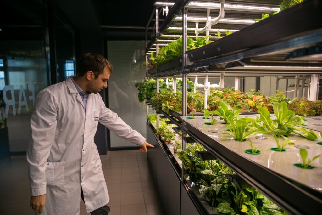 Nemecký startup urýchľuje proces regenerácie pôdy o 3000 rokov na niekoľko týždňov pomocou 90-ročného hydrotermálneho procesu