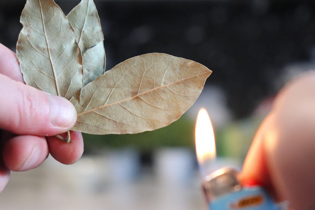 Nie na aromatizáciu: načo je potrebné spaľovať bobkové listy v dome podľa feng šuej