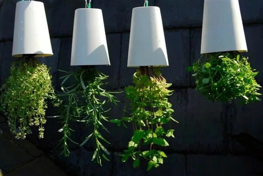 Rastliny hore nohami: je tento dekoratívny trend dobrý nápad?
