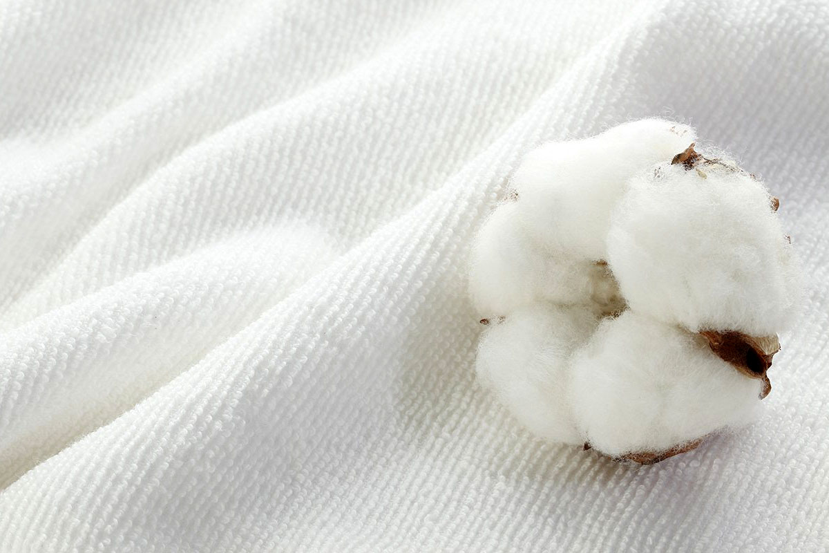 Žiadne plastové fólie ani vrecká: inteligentný spôsob balenia chleba, aby zostal čerstvý a mäkký niekoľko dní